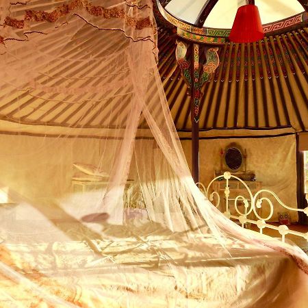Exclusive Nirvana Yurts Glamping Като-Дрис Экстерьер фото